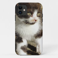 Baby Tuxedo Kitten - Cat iPhone 5 Coque