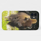 11 Bison iPhone 5 coque (Dos (Horizontal))