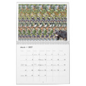 11" brede 2026 USA Magic Eye Kalender (Mar 2027)