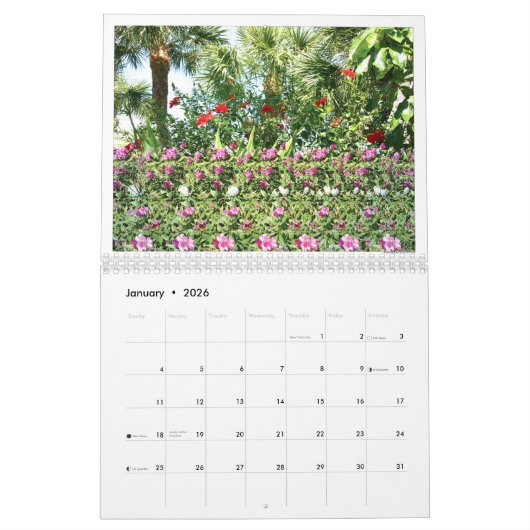 11" brede 2026 USA Magic Eye Kalender (Jan 2026)