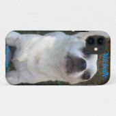 11 Chihuahua Whazzup ? iPhone 5 coque (Dos (Horizontal))