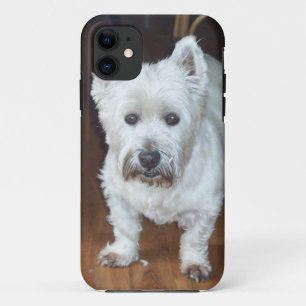 11 coque iphone brun