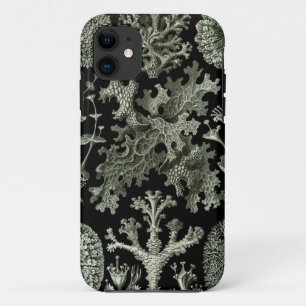 11 coque iphone Haeckel - Lichenes