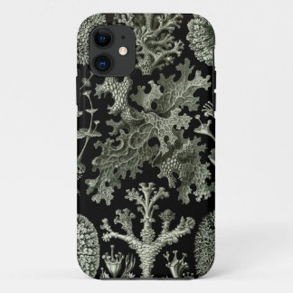 11 coque iphone Haeckel - Lichenes