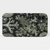 11 coque iphone Haeckel - Lichenes (Dos (Horizontal))