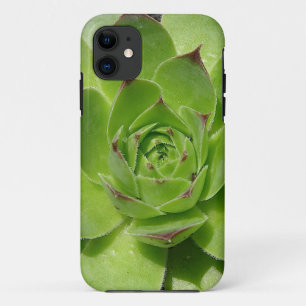 11 coque iphone succulent
