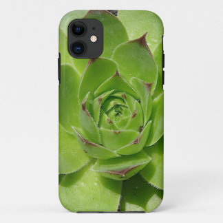 11 coque iphone succulent