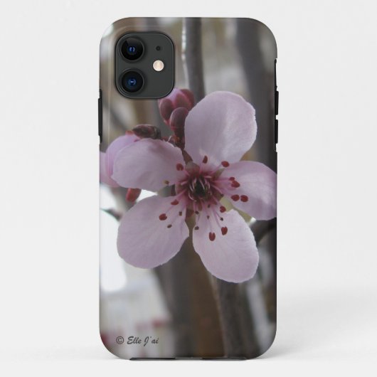 11 Coque Spring Blossom iPhone 5 (Dos)