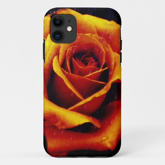 11 Drame Du Coque Orange Rose iPhone 5 (Dos)
