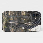 11 Grazing Zebra iPhone 5 coque (Dos (Horizontal))