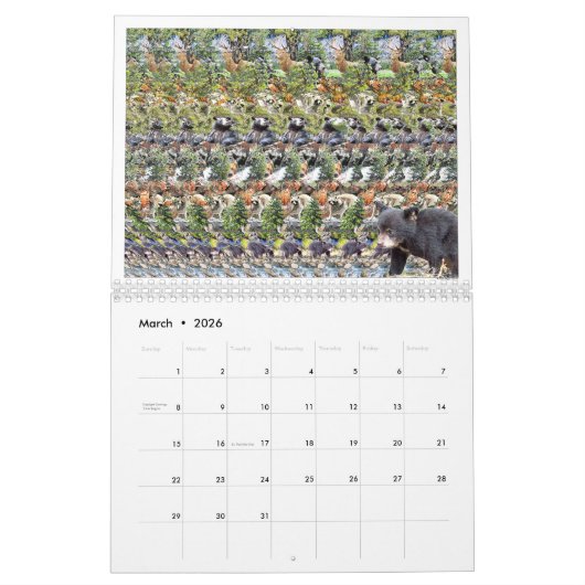 11-inch brede internationale Magic Eye-kalender 20 Kalender (Mar 2026)