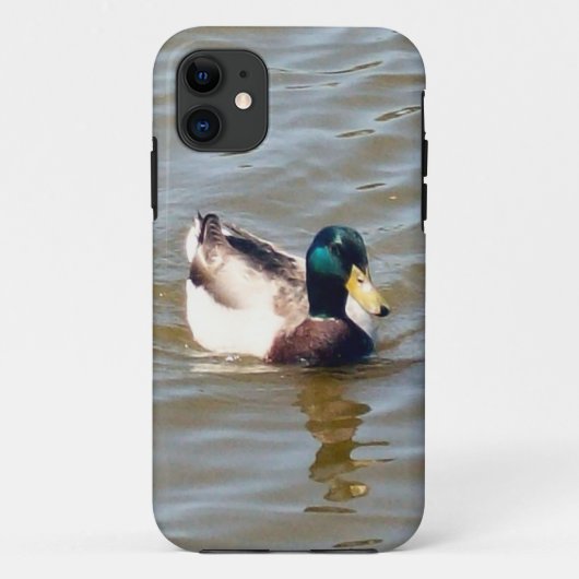 11 Mallard Duck à peine Il iPhone 5/5S Coque (Dos)