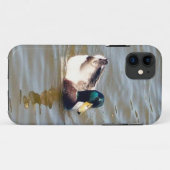 11 Mallard Duck à peine Il iPhone 5/5S Coque (Dos (Horizontal))