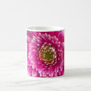 11 oz. Klassieke Mok met twee toonsoorten