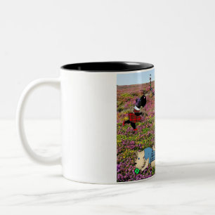 11 oz Two Tone-Mok met speciale Logo Tweekleurige Koffiemok