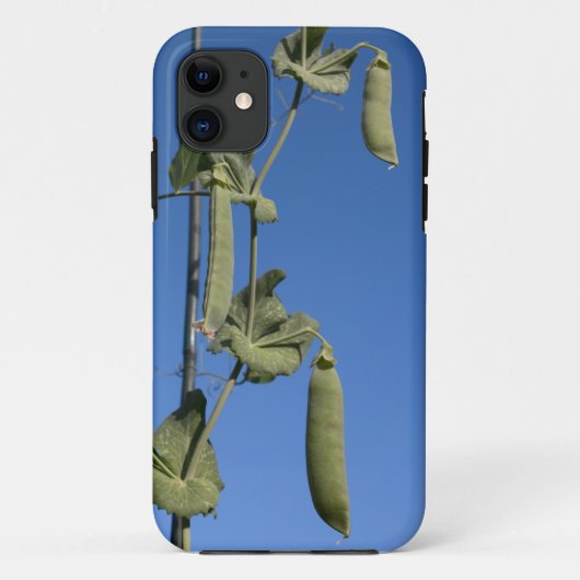 11 Pois de neige sur Blue Sky iPhone 5 Coque (Dos)