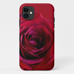 11 Red Rose iPhone 5 Coque Rose classique coque iphon