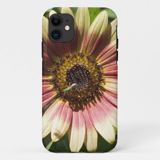 11 Sunflower et The Green Bee iPhone 5 coque (Dos)