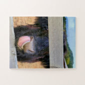 11"x14" puzzle 30 pc Easy | Scottish Highland Cow (Horizontal)