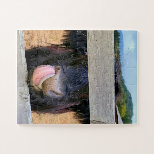 11"x14" puzzle 30 pc Easy | Scottish Highland Cow (Horizontal)