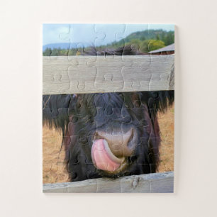 11"x14" puzzle 30 pc Easy Scottish Highland Cow