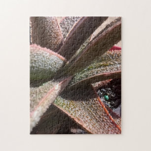 11 x 14 x 252 pc met succulent plant alleen rood legpuzzel