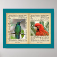11 x 8,5-inch Poster (Design voor vogel en tekst )