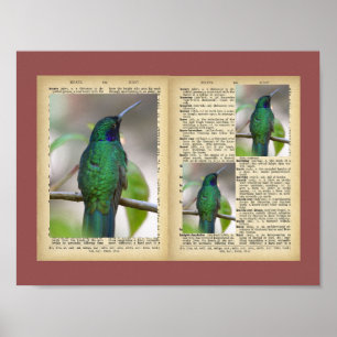 11 x 8,5-inch Poster (Design voor vogel en tekst )