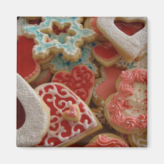 123 Deegmagneet Magneet