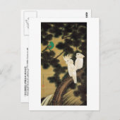 12. 老 鵡 図, 若 Pine-tree & Parrot, Jakuchu Briefkaart (Voorkant / Achterkant)
