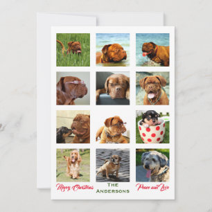 12 Afbeelding ongelooflijke kerstfamilie collage Kaart