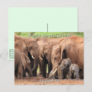 12 augustus: Wereld Olifant Dag Feestdagenkaart
