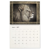 12 Beaux Lions Photos Calendrier (Mar 2027)