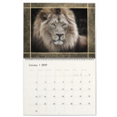 12 Beaux Lions Photos Calendrier (Jan 2027)