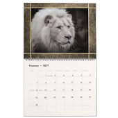 12 Beaux Lions Photos Calendrier (Feb 2027)