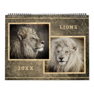 12 Beaux Lions Photos Calendrier