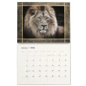 12 Beaux Lions Photos Calendrier (Jan 2026)