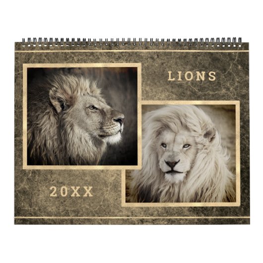 12 Beaux Lions Photos Calendrier (Protection)