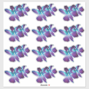 12 Blauwe Dendrobium Orchidee Bloem Kiss-Cut Stick Sticker