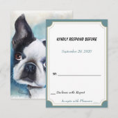 12 Boston Terrier RSVP (Devant / Derrière)