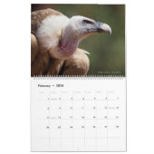 12 calendrier de photos de divers oiseaux (Feb 2026)