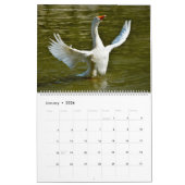 12 calendrier de photos de divers oiseaux (Jan 2026)