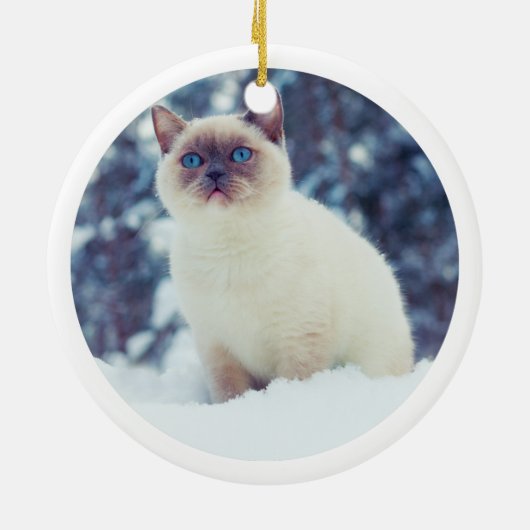 12 dagen catmas 2 schildpadden Kat foto Keramisch Ornament (Achterkant)