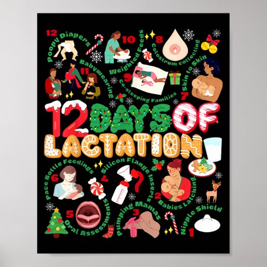 12 Day Of Ibclc Lactation Consultant Breastfeeding Poster (Voorkant)