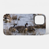 12 Déplacement en coque iphone (Verso Horizontal)