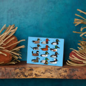 12 Eenden Fotoplaat (Zijkant)