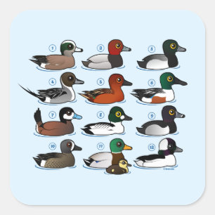 12 Eenden Vierkante Sticker