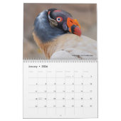 12 kalendermaanden dierportretten kalender (Jan 2026)