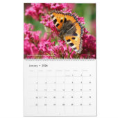 12 kalendermaanden verschillende vlinders kalender (Jan 2026)