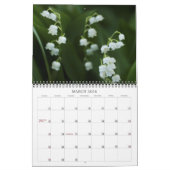 12-maandelijkse kalender (Mar 2026)